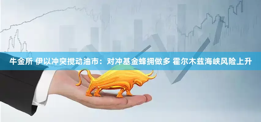 牛金所 伊以冲突搅动油市：对冲基金蜂拥做多 霍尔木兹海峡风险上升