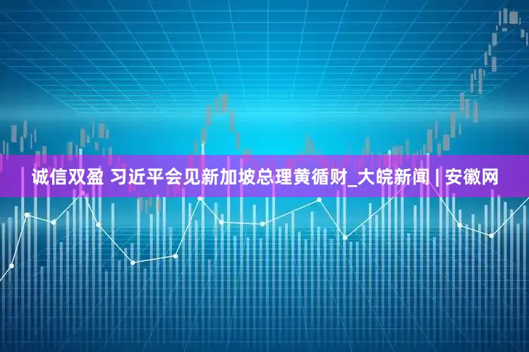 诚信双盈 习近平会见新加坡总理黄循财_大皖新闻 | 安徽网