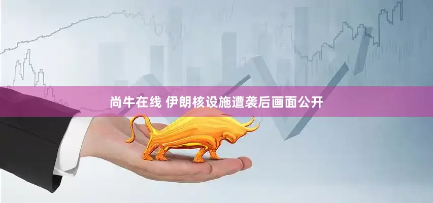 尚牛在线 伊朗核设施遭袭后画面公开