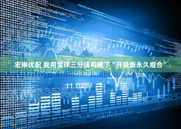 宏琳优配 我用雪球三分法构建了“升级版永久组合”