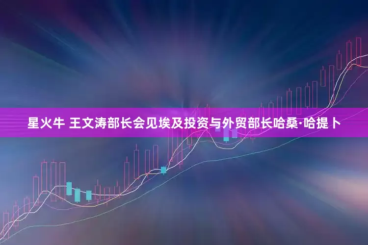 星火牛 王文涛部长会见埃及投资与外贸部长哈桑·哈提卜