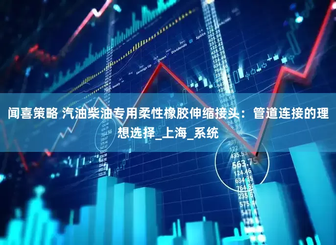 闻喜策略 汽油柴油专用柔性橡胶伸缩接头：管道连接的理想选择_上海_系统