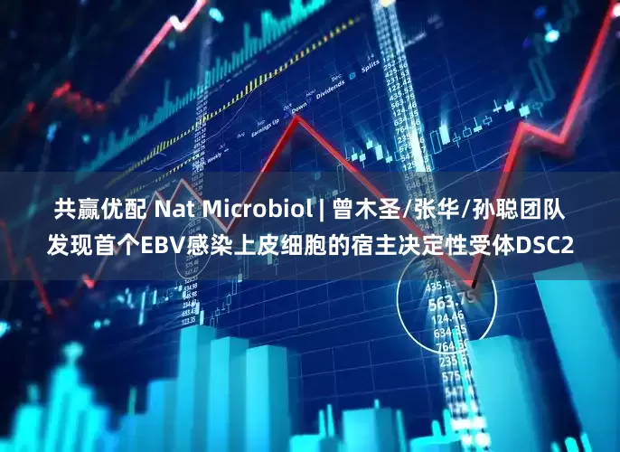 共赢优配 Nat Microbiol | 曾木圣/张华/孙聪团队发现首个EBV感染上皮细胞的宿主决定性受体DSC2