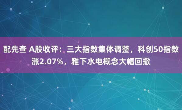 配先查 A股收评：三大指数集体调整，科创50指数涨2.07%，雅下水电概念大幅回撤