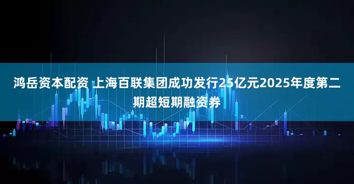 鸿岳资本配资 上海百联集团成功发行25亿元2025年度第二期超短期融资券