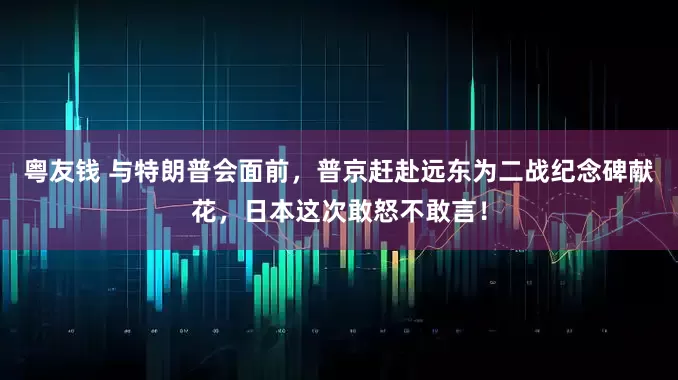 粤友钱 与特朗普会面前，普京赶赴远东为二战纪念碑献花，日本这次敢怒不敢言！