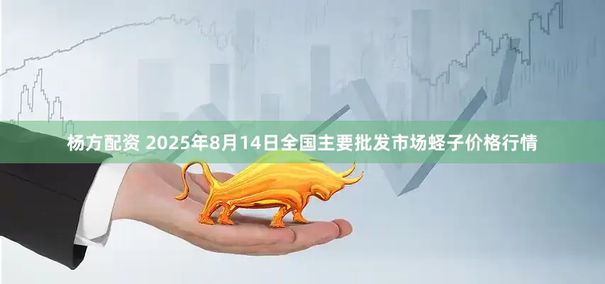 杨方配资 2025年8月14日全国主要批发市场蛏子价格行情