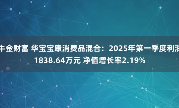 牛金财富 华宝宝康消费品混合：2025年第一季度利润1838.64万元 净值增长率2.19%