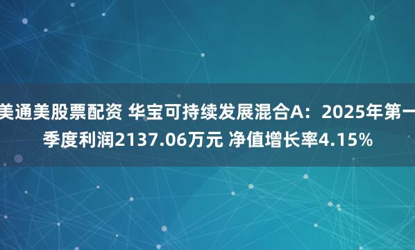 美通美股票配资 华宝可持续发展混合A：2025年第一季度利润2137.06万元 净值增长率4.15%