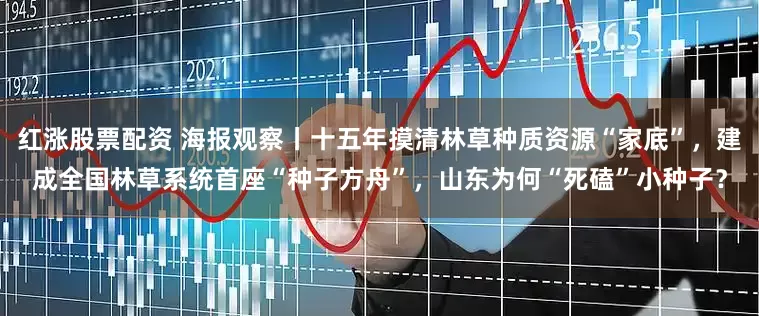 红涨股票配资 海报观察丨十五年摸清林草种质资源“家底”，建成全国林草系统首座“种子方舟”，山东为何“死磕”小种子？