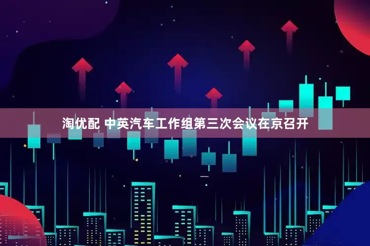 淘优配 中英汽车工作组第三次会议在京召开