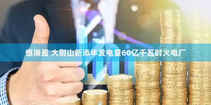 恒瑞盈 大别山新添年发电量60亿千瓦时火电厂